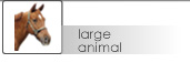 large animal